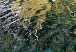 small ripples on the water surface