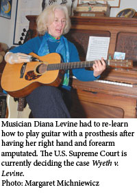 Musician Diana Levine