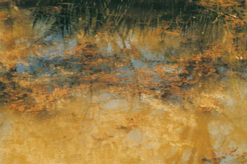 reflection off of body of water